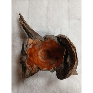 Unique Hand Carved Root Wood Bowl Live Edge Sculpture Rustic Natural Organic